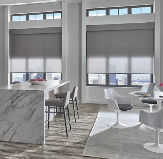 Designer Roller Shades